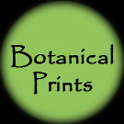 Botanical Prints
                Button
