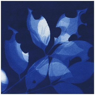 Catalog
                  Button Cyanotypes
