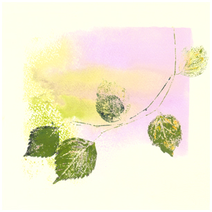 Catalog
                  Button Mono Prirnts