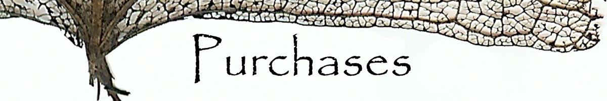 Collage Scan for Header of Purchases Page