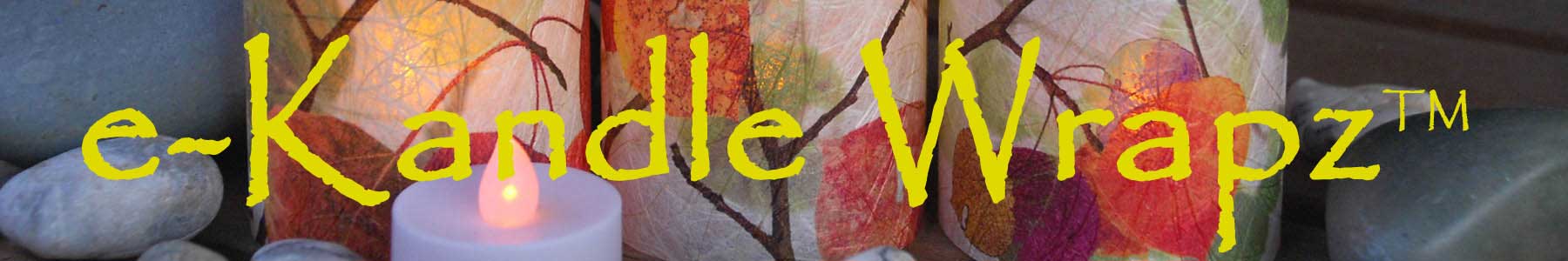 Wrapz Image for Header of Wrapz Page